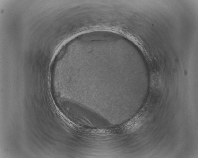 X0000060551508200511241212