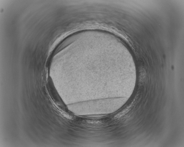 X0000060551509200511241212