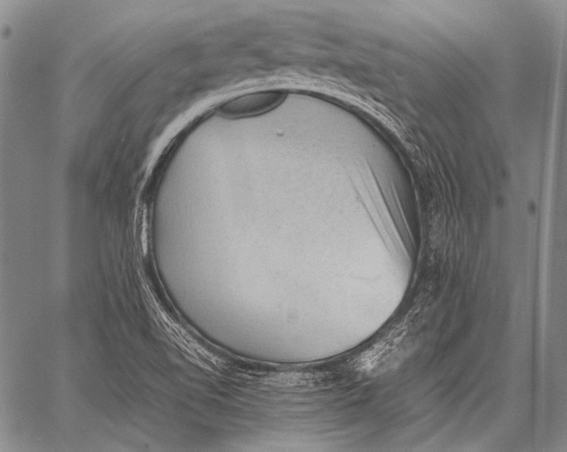 X0000060551510200511241212