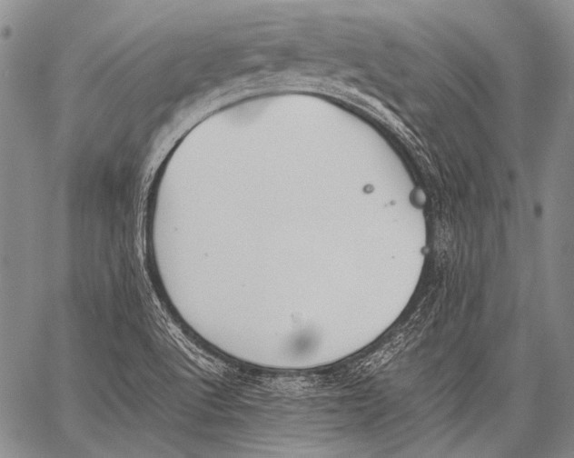 X0000060551512200511241212