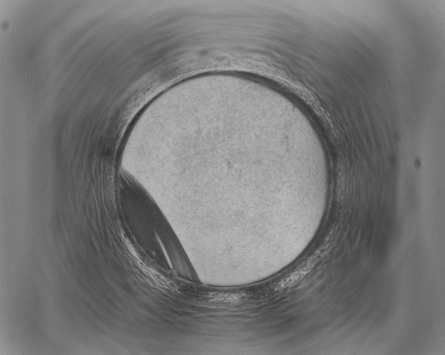 X0000060551513200511241212