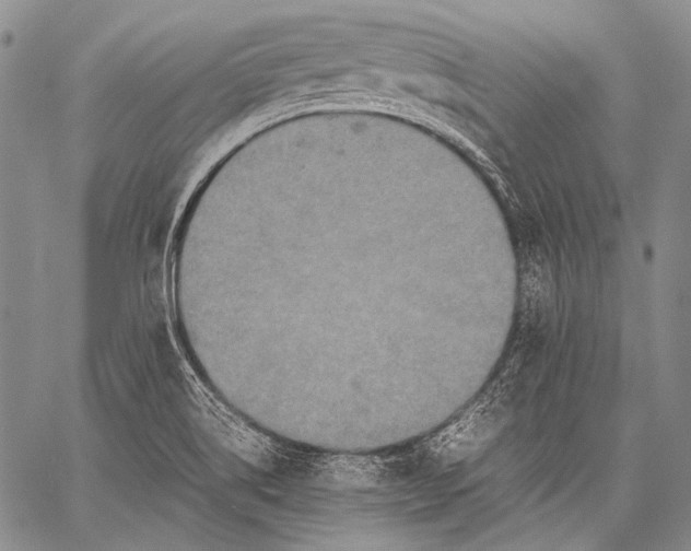 X0000060551514200511241212