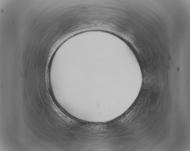 X0000060551516200511241212