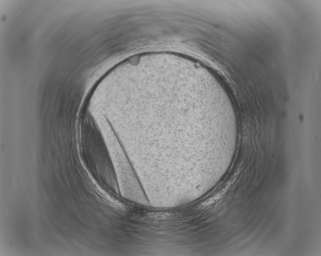 X0000060551517200511241212