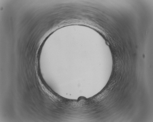 X0000060551518200511241212