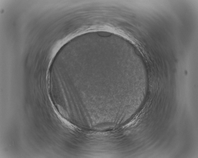 X0000060551519200511241212