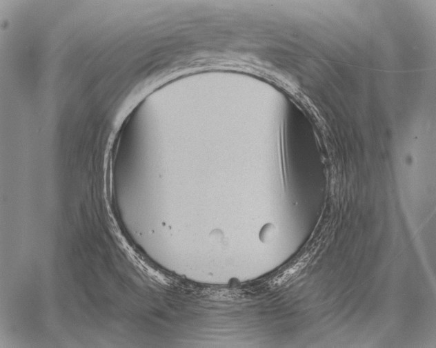 X0000060551520200511241212