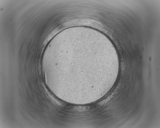 X0000060551521200511241212