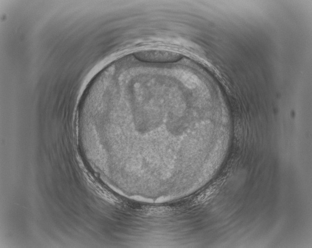 X0000060551522200511241212