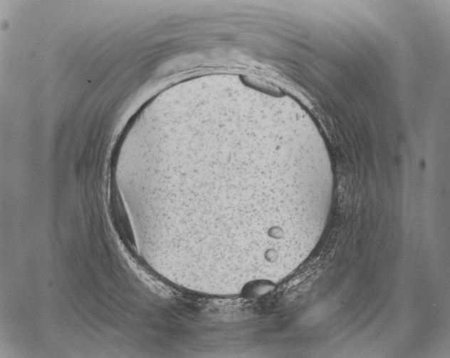 X0000060551523200511241212