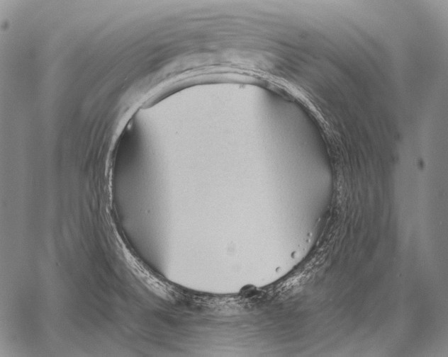 X0000060551524200511241212