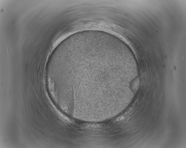 X0000060551525200511241212