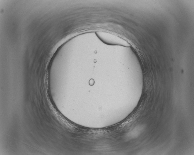 X0000060551526200511241212