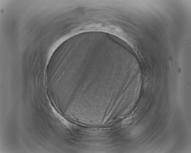 X0000060551527200511241212