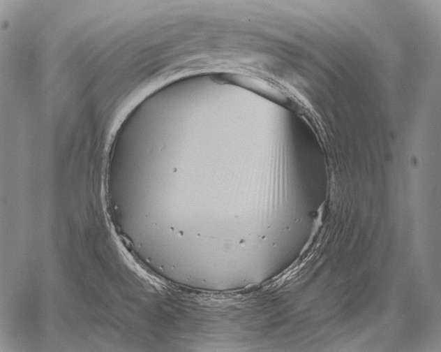 X0000060551528200511241212