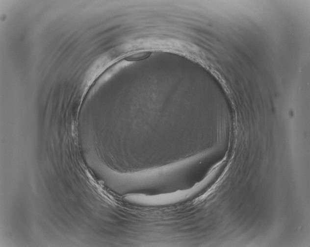 X0000060551529200511241212