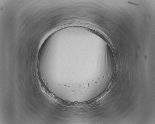 X0000060551530200511241212