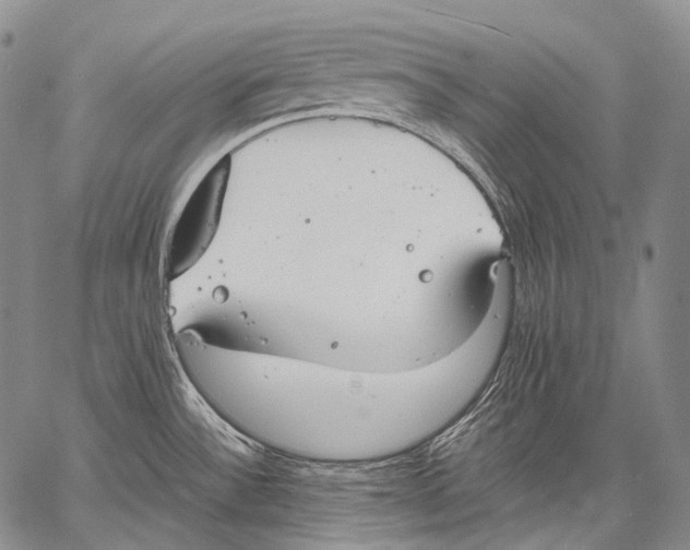 X0000060551532200511241213