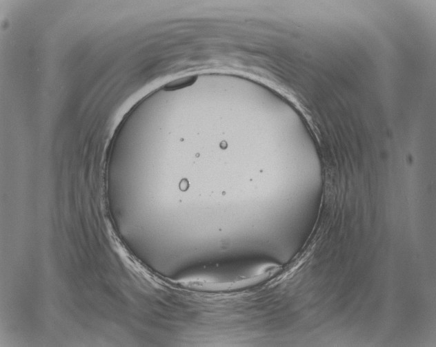 X0000060551534200511241213