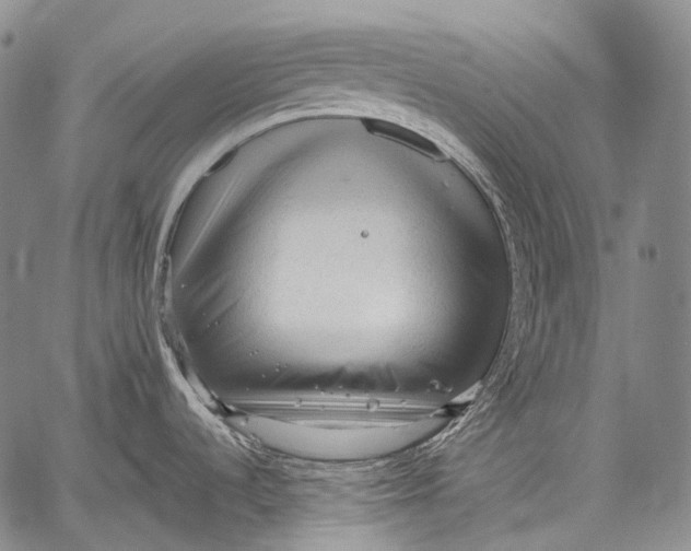 X0000060551536200511241213