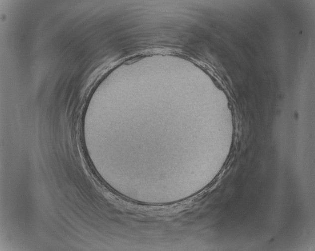 X0000060550001200512011628