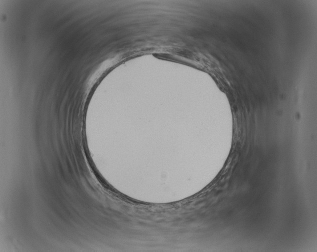 X0000060550003200512011628