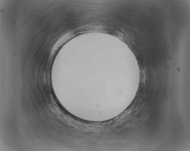 X0000060550004200512011628