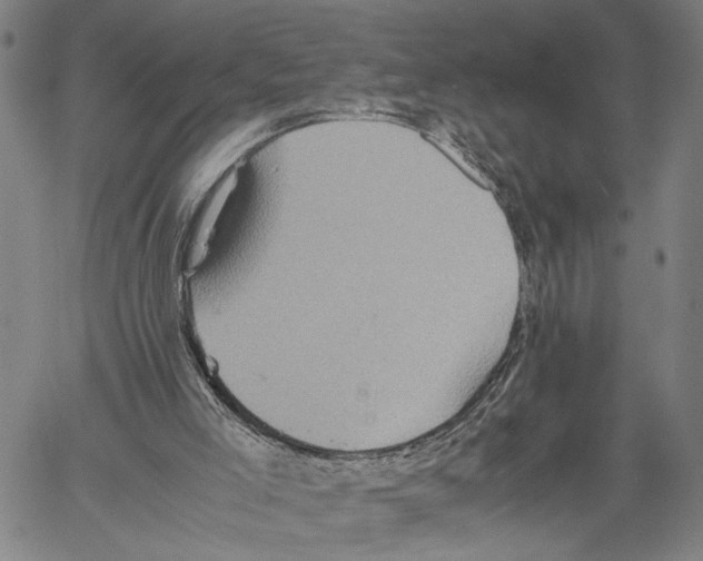 X0000060550005200512011628