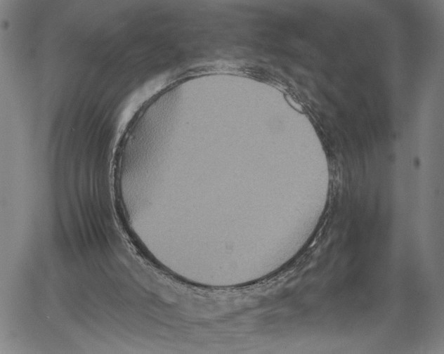 X0000060550006200512011628