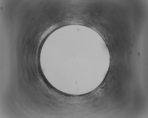 X0000060550008200512011628