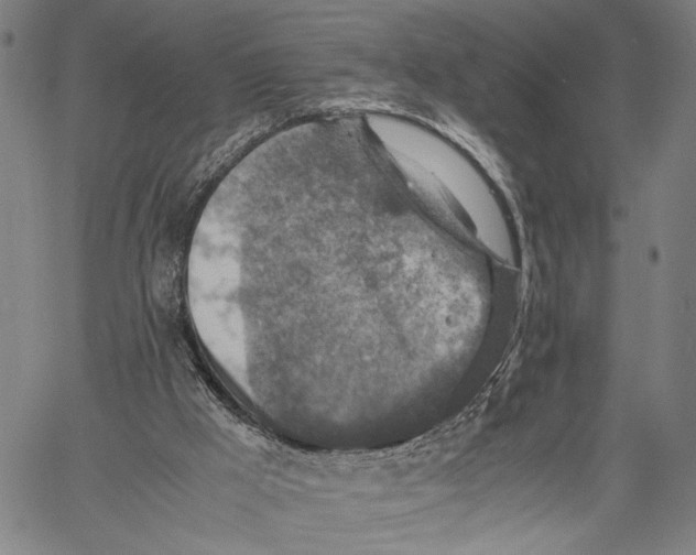 X0000060550009200512011628