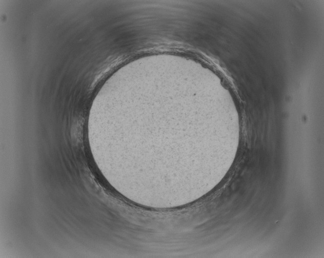 X0000060550010200512011628