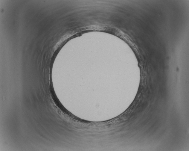 X0000060550011200512011628