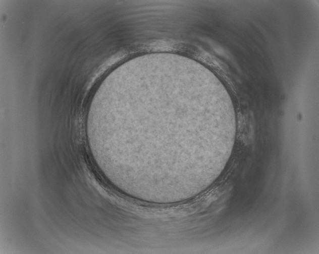 X0000060550012200512011628