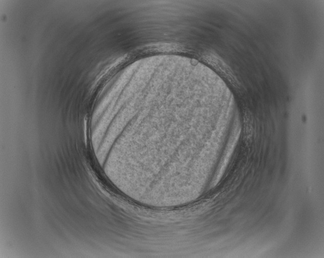 X0000060550014200512011628