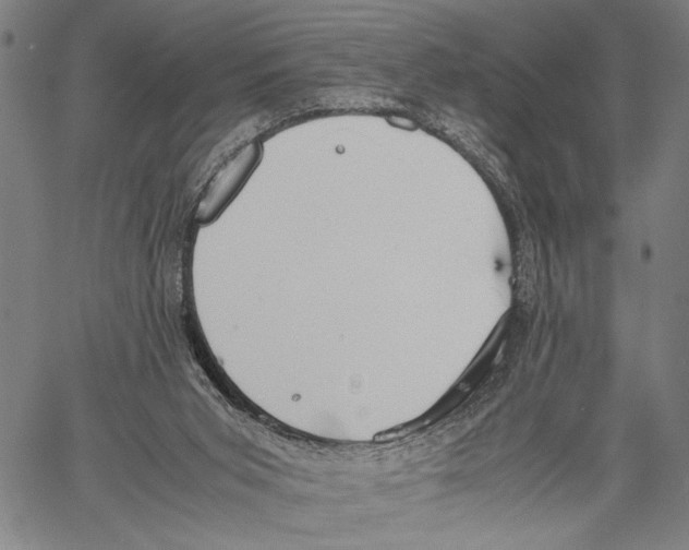 X0000060550015200512011628