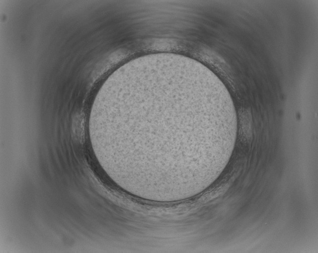 X0000060550016200512011628