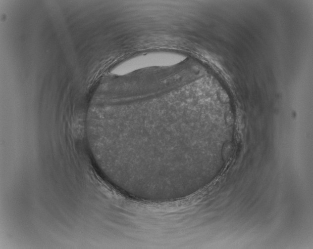 X0000060550017200512011628