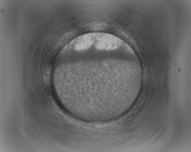 X0000060550018200512011628