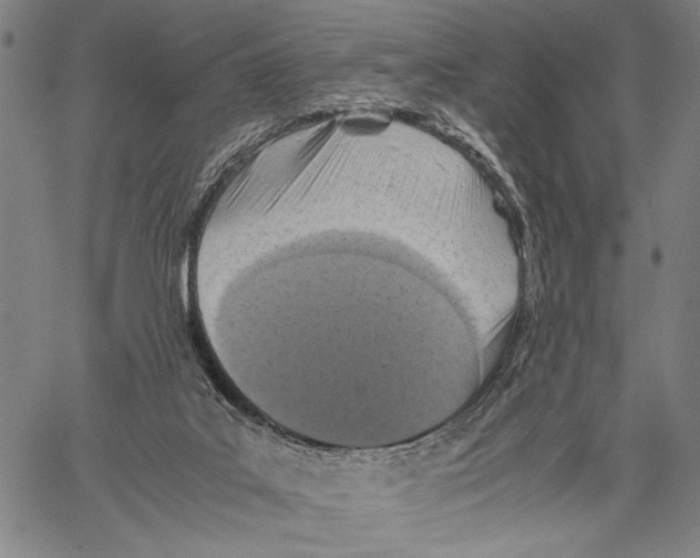 X0000060550019200512011628