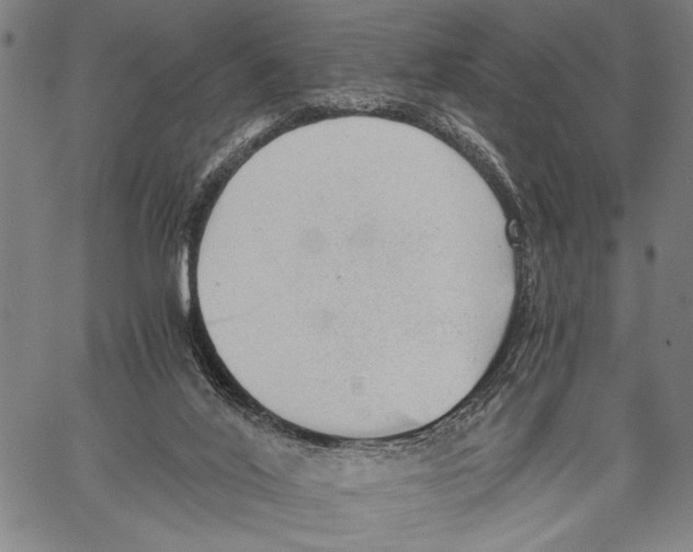 X0000060550020200512011628