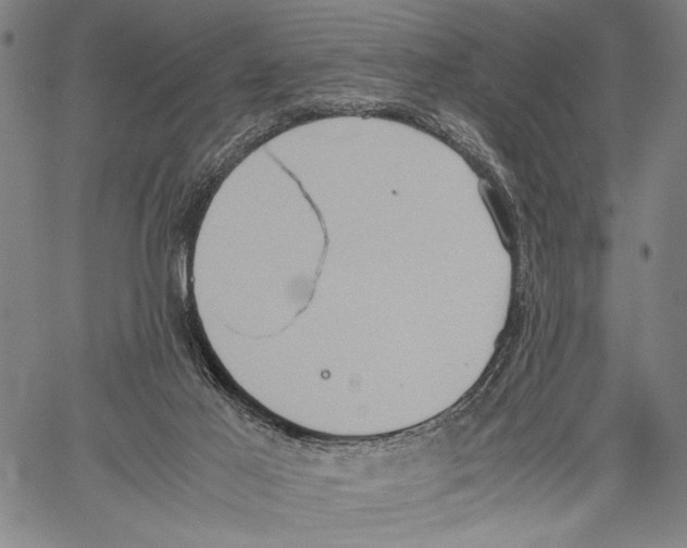 X0000060550021200512011628