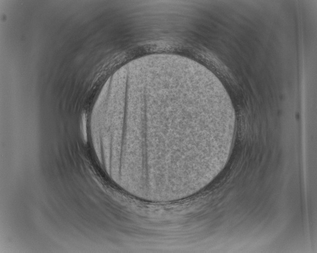 X0000060550022200512011628