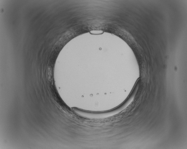 X0000060550025200512011628