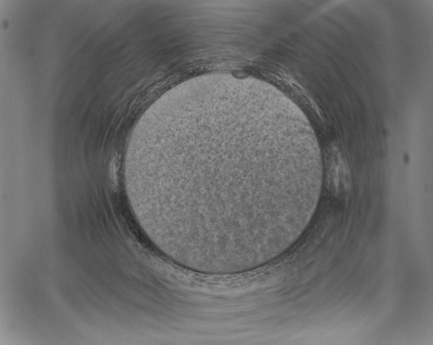 X0000060550026200512011628