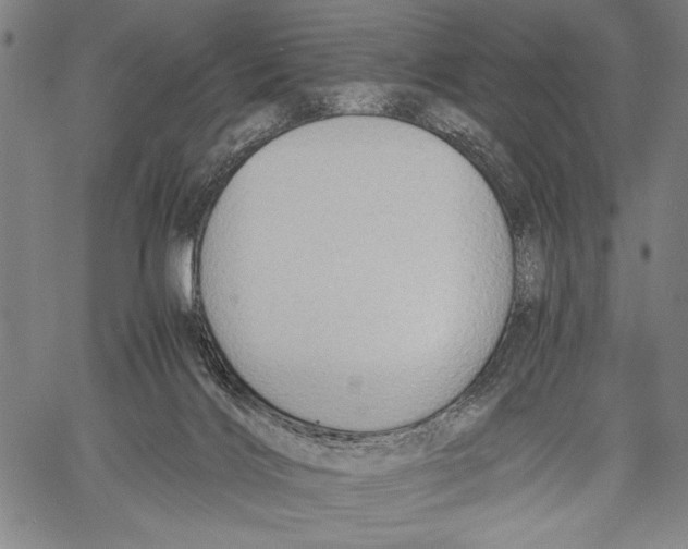 X0000060550028200512011628