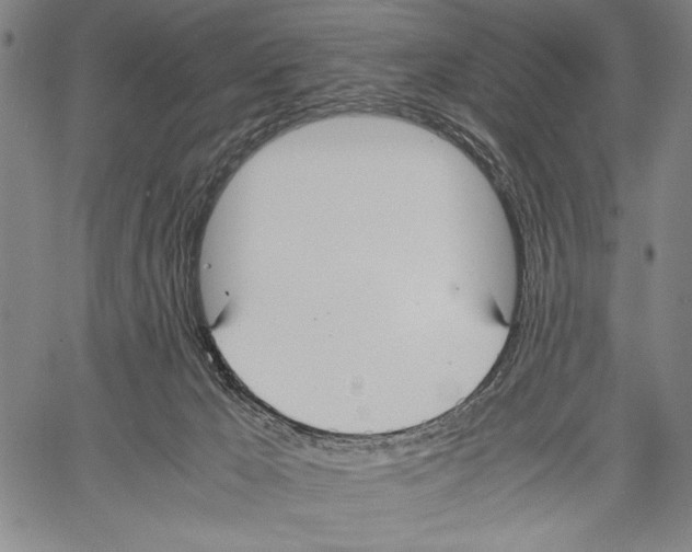 X0000060550029200512011628