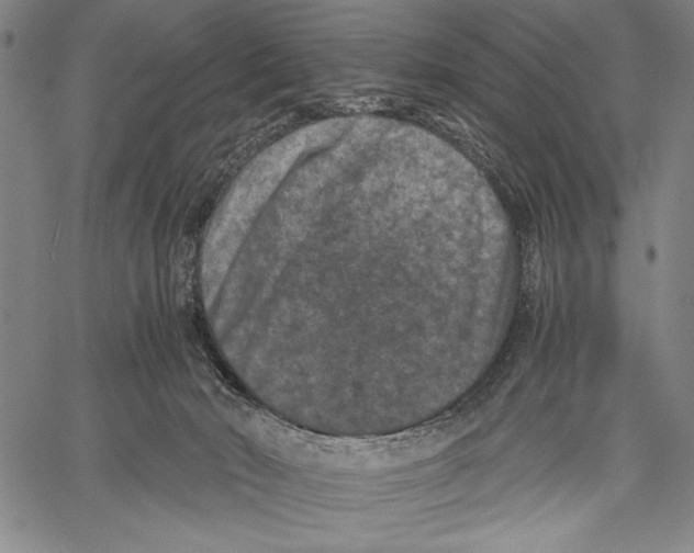 X0000060550030200512011628