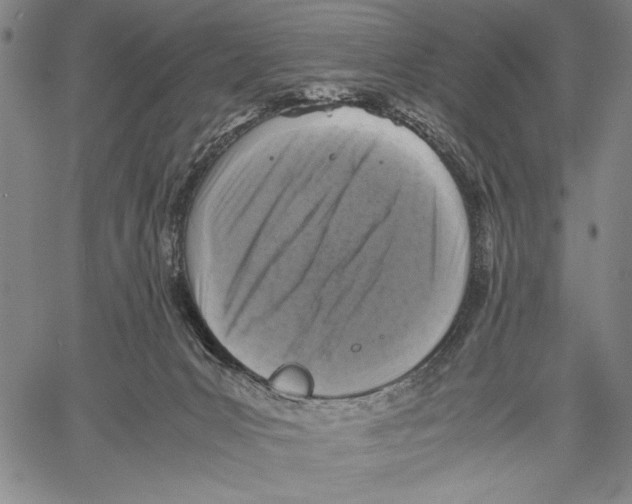 X0000060550031200512011628