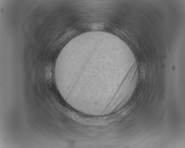 X0000060550032200512011628